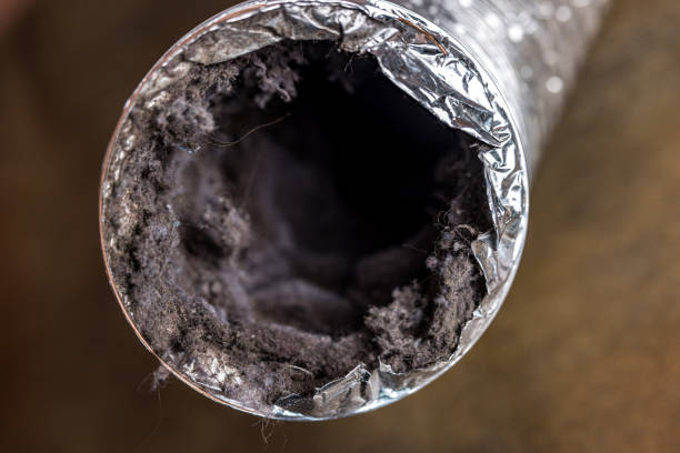 Best Home Air Vent Cleaning  in Centuria, WI
