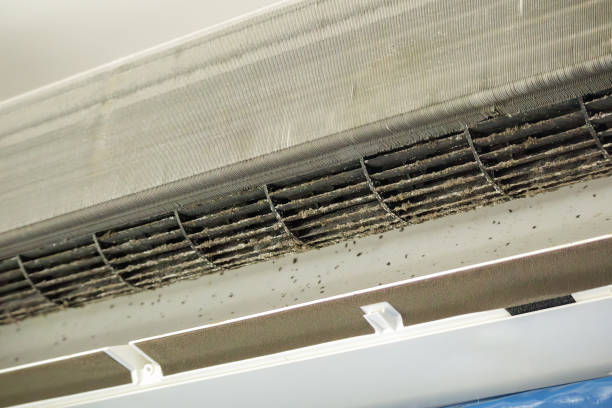 Best Emergency Air Duct Cleaning  in Centuria, WI